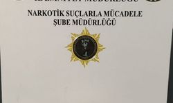 Samsun'da yasaklı madde operasyonunda 1 zanlı yakalandı