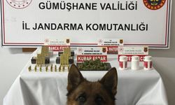 Gümüşhane'de yasaklı madde operasyonu