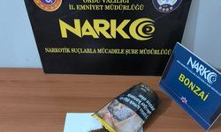 Ordu'da yasaklı madde operasyonlarında 1 tutuklama