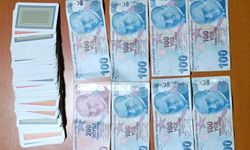 Samsun'da kumara geçit yok: 9 kişiye ceza, 2 işletme sorumlusuna adli işlem