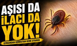 Kene Isırığını Fark Etmeyebilirsiniz: Uzmandan Hayati KKKA Uyarısı