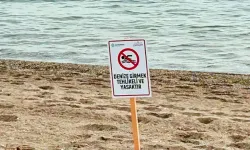 Giresun'da baraj, gölet, kanal ve akarsulara girilmesine izin verilmeyecek