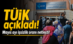 TÜİK Mayıs Ayı İşsizlik Oranını Açıkladı, İşsiz Sayısındaki Artış Dikkat Çekti