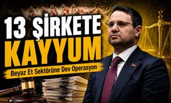 Beyaz Et Sektörüne Büyük Operasyon: 13 Şirkete Denetim Kayyumu Atandı