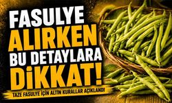 Taze Fasulye Alırken Bu Detaylara Dikkat: Taze Fasulye İçin Altın Kurallar Açıklandı