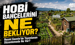 Hobi Bahçelerini Ne Bekliyor? Resmi Gazete’de Yayımlanan Düzenlemede Ne Var?