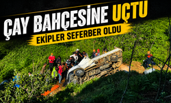 Rize’de Çay Yüklü Kamyonet Çay Bahçesine Devrildi: Sürücü Yaralandı