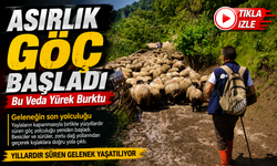 Karadeniz’de Asırlık Yayla Göçü Başladı: Çobanların Zorlu Yolculuğu Duygulandırdı