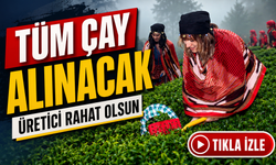 Çaykur yaş çay alımında 150 bin ton eşiği aşıldı: Üreticiye kritik güvence