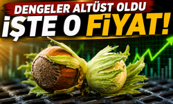 Yeni sezon öncesi serbest piyasada dengeler altüst oldu. Giresun, Ordu, Trabzon ve Sakarya’da Son Rakamlar