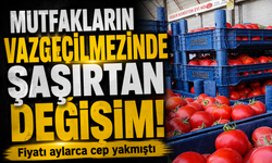 Domates Fiyatında Şaşırtan Düşüş: Kilosu Bakın Kaç TL Oldu!