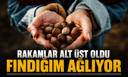 Yatırımcılar Dikkat: Çeyrek ve Gram Altın Bugün Ne Kadar Oldu?