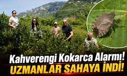 Trabzon’da Kahverengi Kokarca Tehdidine Karşı AGRICOOP Projesi Sahaya İndi