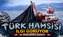 Türkiye’nin Hamsi İhracatı 5 Ayda 7,3 Milyon Doları Aştı