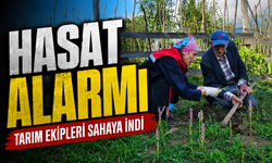 Şalpazarı’nda Salep Hasadı Denetlendi! Üreticilere Kritik Uyarılar Yapıldı