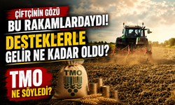 TMO 2026 Hububat Alım Fiyatlarını Duyurdu: Buğday ve Arpada Yeni Rakamlar Belli Oldu