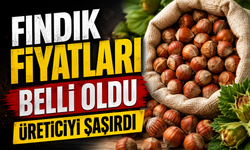 Fındık Fiyatları Belli Oldu: Serbest Piyasada Üreticiyi Şaşırtan Tablo
