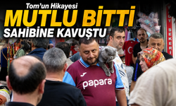 Trabzonspor Formalı Kedi Tom 4 Gün Sonra Çalılıkların Arasında Bulundu