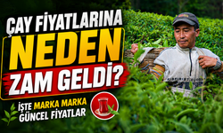 Çay Fiyatlarına Neden Zam Geldi? İşte Marka Marka Güncel Fiyatlar