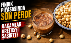 Fındık Piyasasında Son Perde: Rakamlar Üreticiyi Şaşırttı