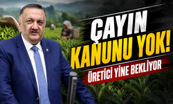 Çay Kanunu İçin Meclis’e Yeni Çağrı: Üretici Yıllardır Bunu Bekliyor