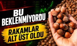 Fındıkta Beklenmeyen Gelişme! Serbest Piyasa Yeniden Hareketlendi
