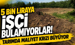 Çiftçinin Yeni Gözdesi Şaşırttı! 5 Bin Liraya İşçi Bulamıyorlar!