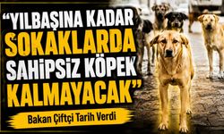 Bakan Çiftçi Tarih Verdi: Yılbaşına Kadar Sokaklarda Sahipsiz Köpek Kalmayacak
