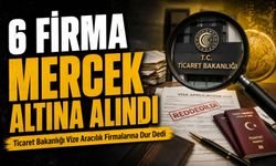 Ticaret Bakanlığı Vize Aracılık Firmalarına Dur Dedi: 6 Firma Mercek Altına Alındı