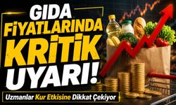 Gıda Fiyatlarında Kritik Uyarı! Uzmanlar Kur Etkisine Dikkat Çekiyor