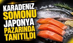 Türk Somonu Japonya’da Tanıtıldı; Türk Somonu Uzak Doğu’da Marka Değerini Güçlendiriyor