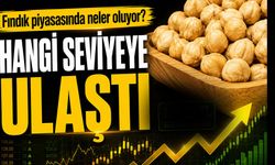 Güncel Fındık Fiyatları Bugün Ne Kadar? Fındık Fiyatları Düştü mü, Yükseldi mi?