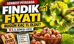 Serbest Piyasada Fındık Fiyatı Bugün Kaç TL Oldu? İl İl Liste