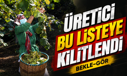 Fındık Fiyatlarında Yeni Sezon Öncesi Kritik Görünüm: Giresun Zirvede Kaldı