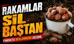 Fındık Piyasasında Beklenmedik Gelişme: Rakamlar Sil Baştan