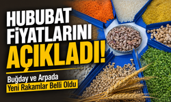 TMO 2026 Hububat Fiyatlarını Açıkladı! Buğday ve Arpada Yeni Rakamlar Belli Oldu