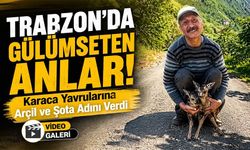 Trabzon’da Gülümseten Anlar!; Karaca Yavrularına Arçil ve Şota Adını Verdi