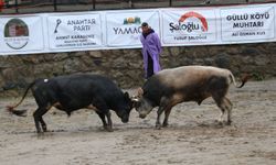 Ayder’de Asırlık Festival Heyecanı
