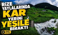 Rize Yaylalarında Beyaz Örtü Kalktı, Doğa Yeniden Yeşile Büründü