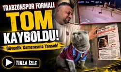 Trabzonspor Formalı Tom Kayboldu! Sahibi Gözyaşlarıyla Arıyor