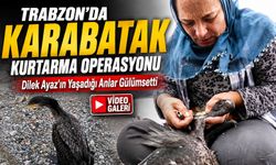 Trabzon’da Yaralı Karabatak Kurtarma Operasyonu Gülümsetti