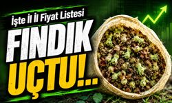 Fındık Fiyatlarında Şehirler Arası Uçurum: İşte İl İl Fiyat Listesi