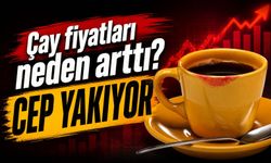 Çaya Zam mı Geldi? Çaykur Tiryaki ve Rize Turist Fiyatları Neden Arttı?
