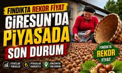Fındıkta Rekor Fiyat Giresun'da: İşte 2026 Güncel Fındık Borsası