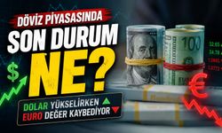 Dolar Yükselirken Euro Değer Kaybediyor: Döviz Piyasasında Son Durum Ne?