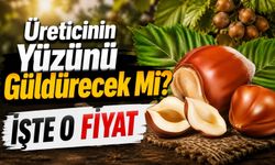 Fındık Fiyatları Üreticinin Yüzünü Güldürecek Mi? İşte O Fiyatlar…