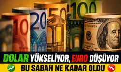 Dolar Yükseliyor, Euro Düşüyor: Piyasalarda Son Durum ve Haftalık Analiz