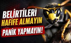 Kene Vakalarına Karşı Uzman Uyarısı: Yanlış Müdahale Riski Artırıyor