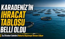 Karadeniz’in İhracat Tablosu Belli Oldu; Karadeniz Su Ürünleri Sektörü Büyümeye Devam Ediyor