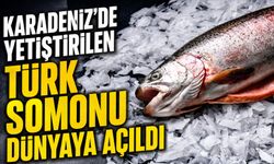 Karadeniz’de Yetiştirilen Türk Somonu Dünyaya Açıldı; Yılın İlk Yarısında Milyon Dolarlar Kazandırdı